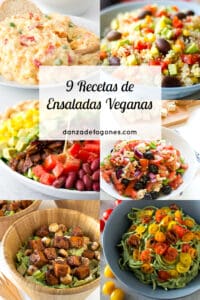 9 Recetas de Ensaladas Veganas
