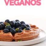 Foto de perfil de un gofre vegano con toppings por encima con las palabras gofres veganos