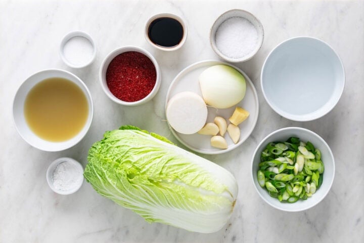 Ingredientes para hacer kimchi casero